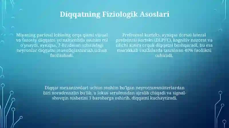 Diqqatning Neyrofiziologik Asoslari 4