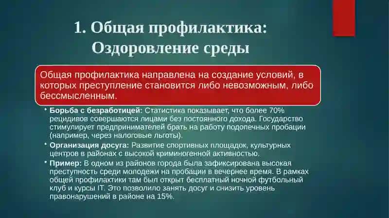 Профилактика рецидивной преступности в системе пробации 4