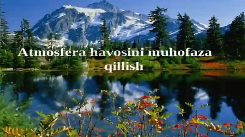 ATMOSFERA HAVOSINI MUHOFAZA QILISHNING HUQUQIY TARTIBI 4