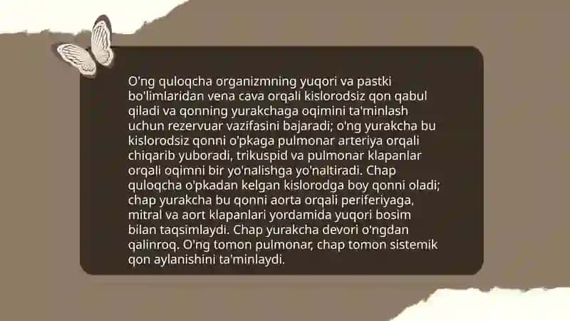 Yurakning qon aylanishdagi roli 4