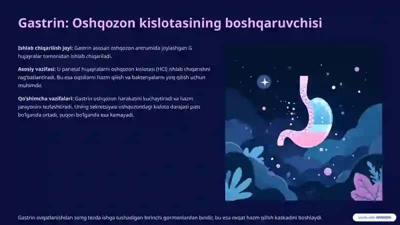 oshqozon ichak garmonlari 4