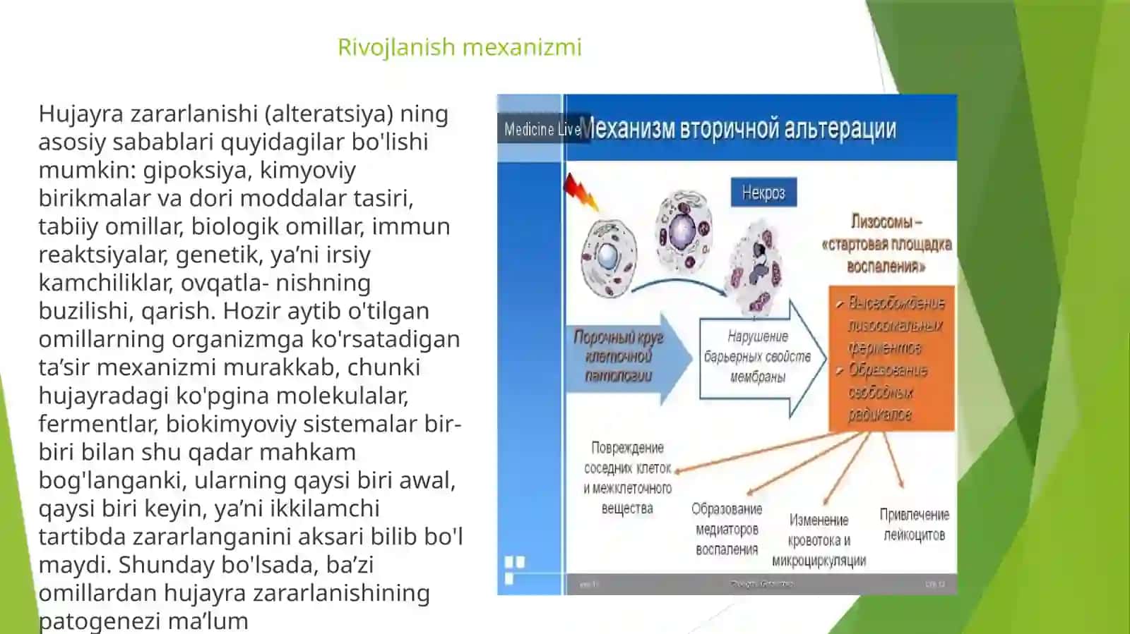 Hujayraning zararlanishi 4