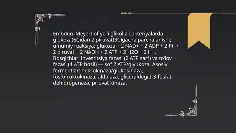 Bakteriyalarning fiziologiyasi 4