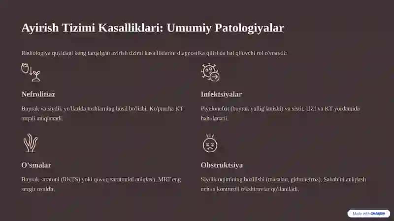 Ayirish Tizimi Radiologiyasi 4