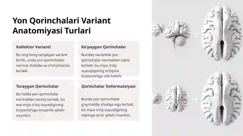 Yon qorinchalari variant anatomiyasi 4