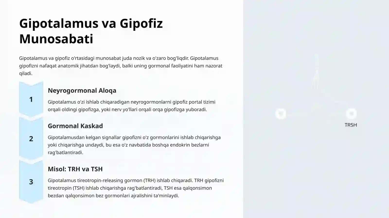 Organizmda Gipotalamus va Gipofiz Boshqaruvi 4