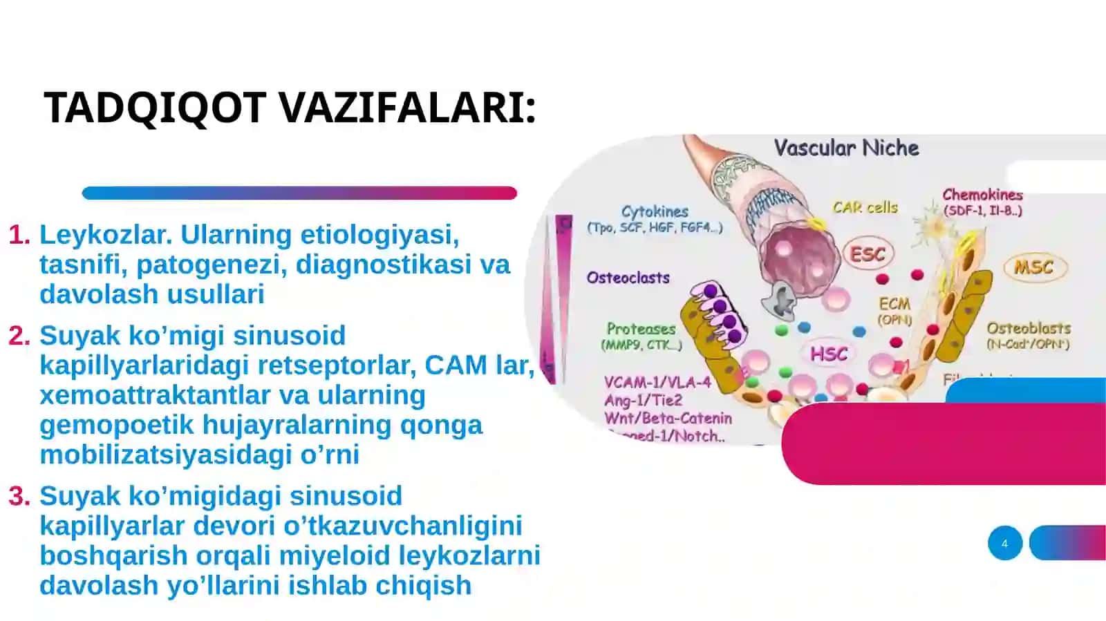 Leykozlar patogenezida qon yaratuvchi a’zolar gistologik xususiyatlari buzilishining ahamiyati 4