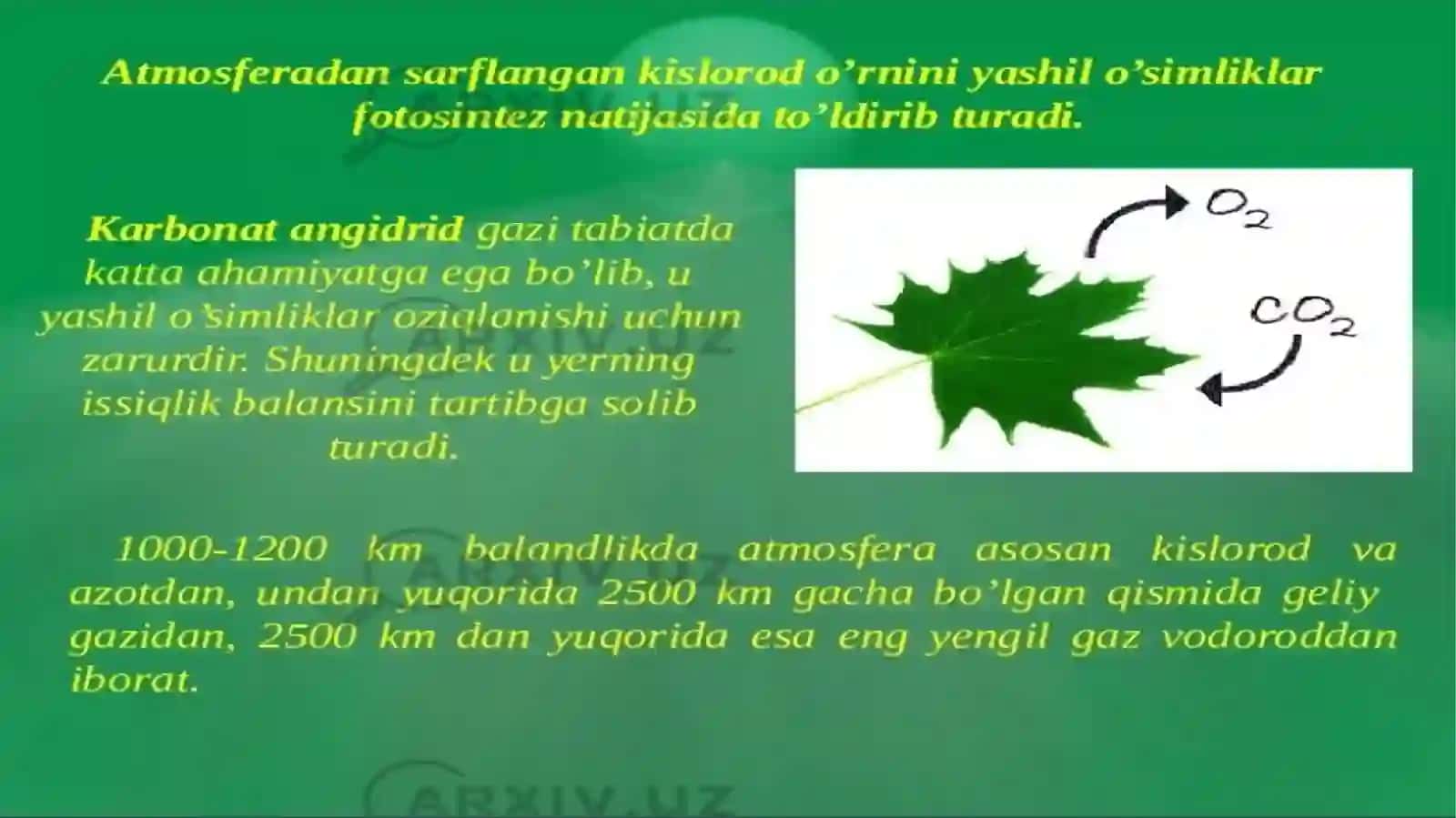 Iqlimomillari:yorugʻlikharorat, havo va suvga nisbatanoʻsimliklarningtipi 4