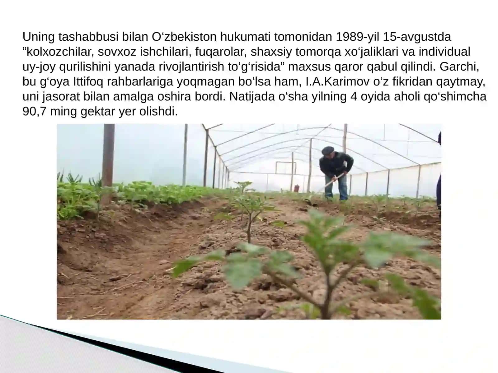 O`zbekistonda Ijtimoiy-Siyosiy Jarayonlar 4