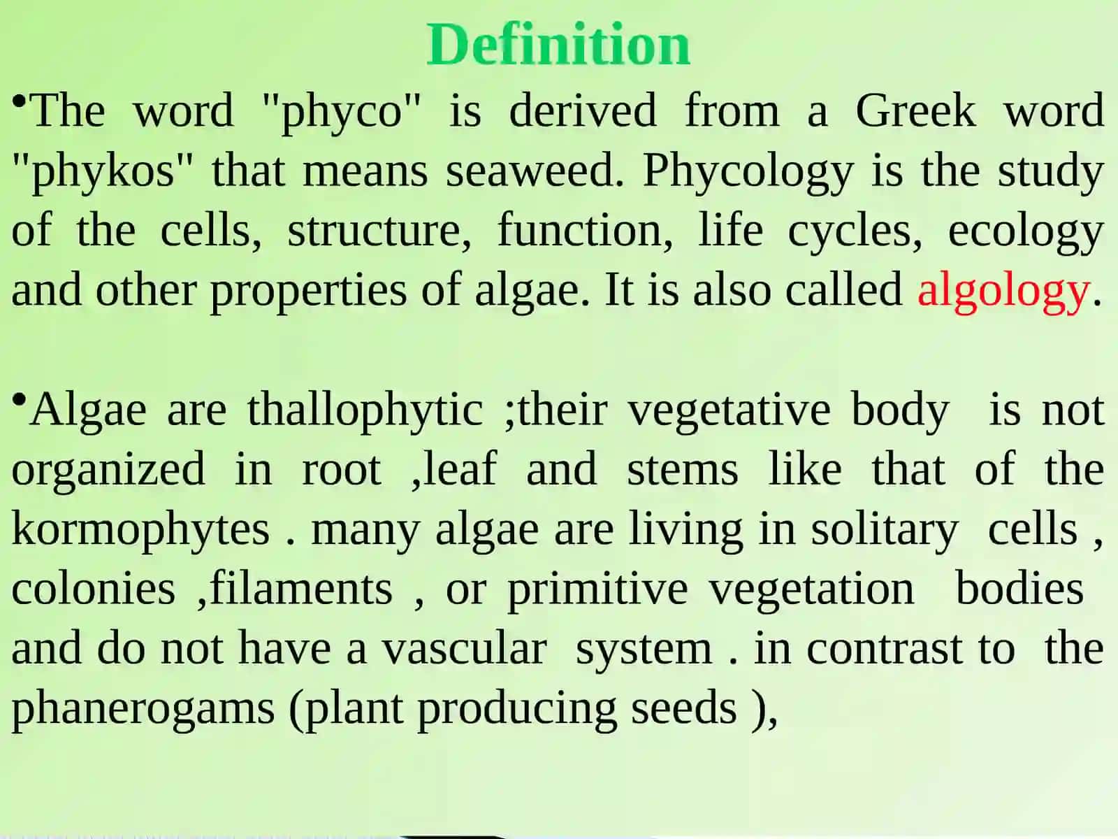 Algae 4