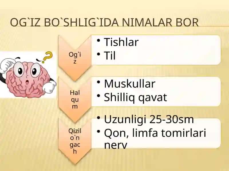 Hazimqilish Sistema 4