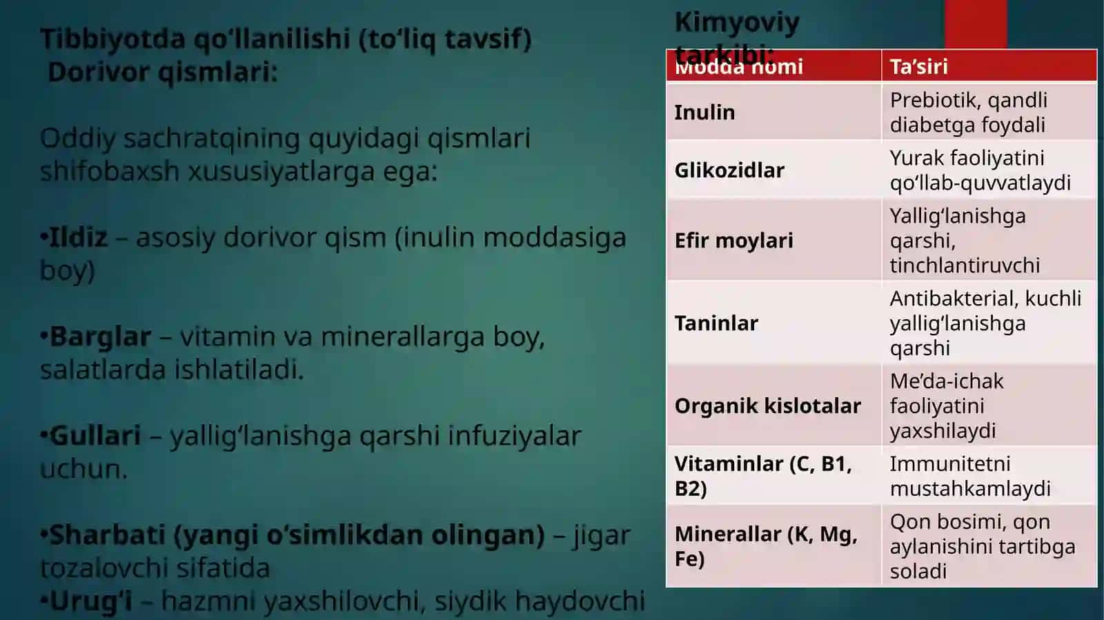 Oddiys achratqi (Cichorium intybus L.) turining sistematikasi, tarqalishi, ekologiyasi va tibbiyotda qo'llanilishi 4