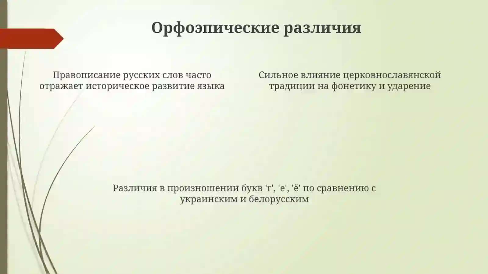 Особенности, отличающие русский язык в целом от украинского и белорусского языков 4