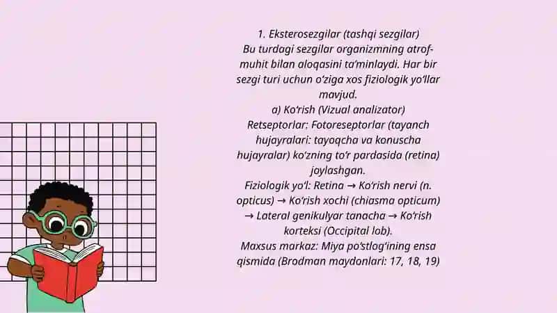 Sezgilar haqida umumiy tushuncha va ularning nerv fiziologik asoslari 4