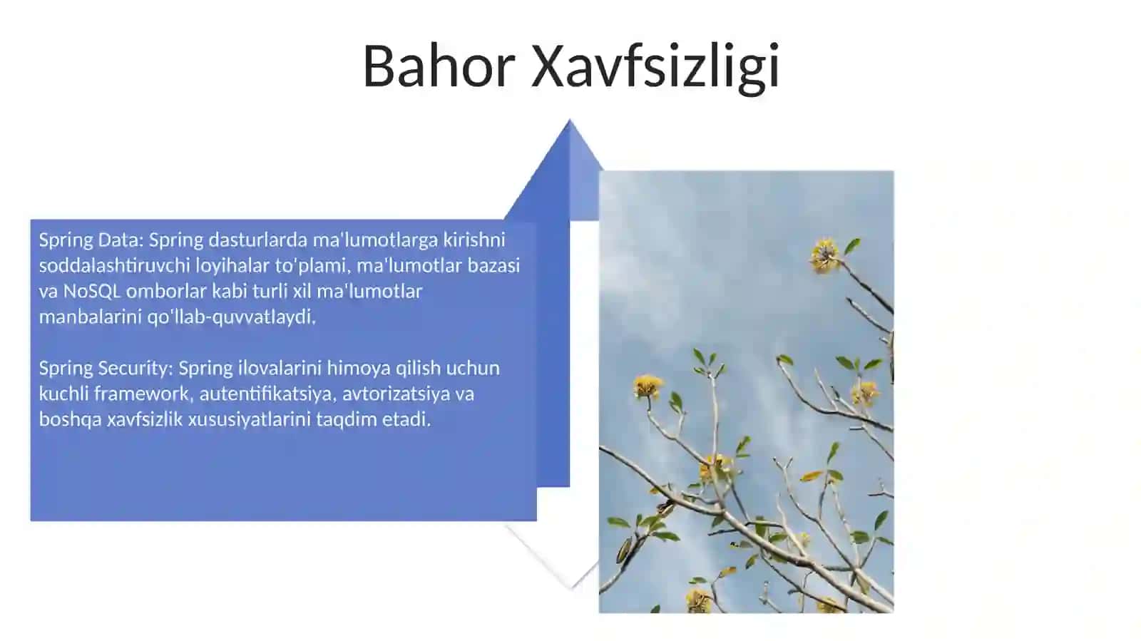 Bahor MVC 4
