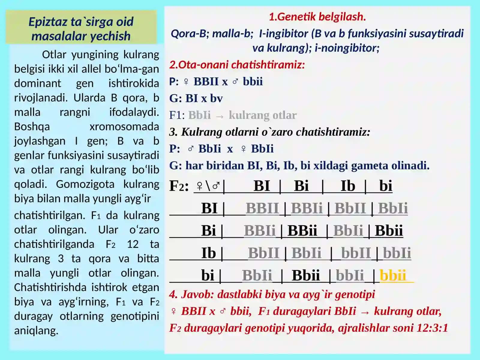 Epistaz 4