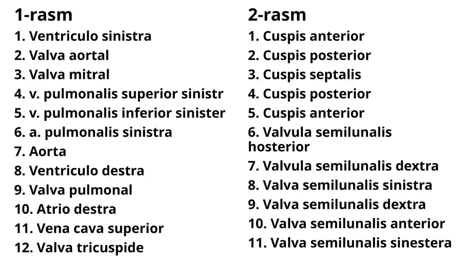 Yurak funksional va klinik anatomiyasi. Yoshga oid o‘zgarishlari rivojlanish anomaliyalari. 4
