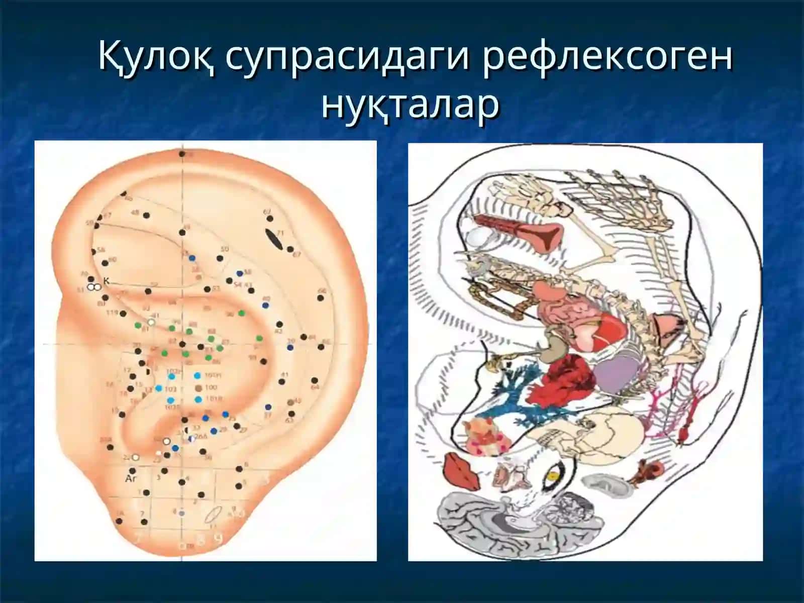 Ташқи ва ўрта қулоқнинг ўткир ва сурункали яллиғланиш касалликлари 4