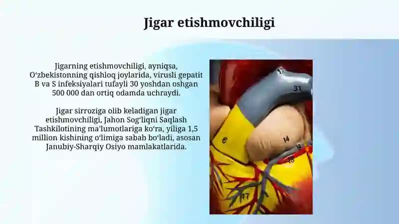 Jigar fiziologiyasi 4