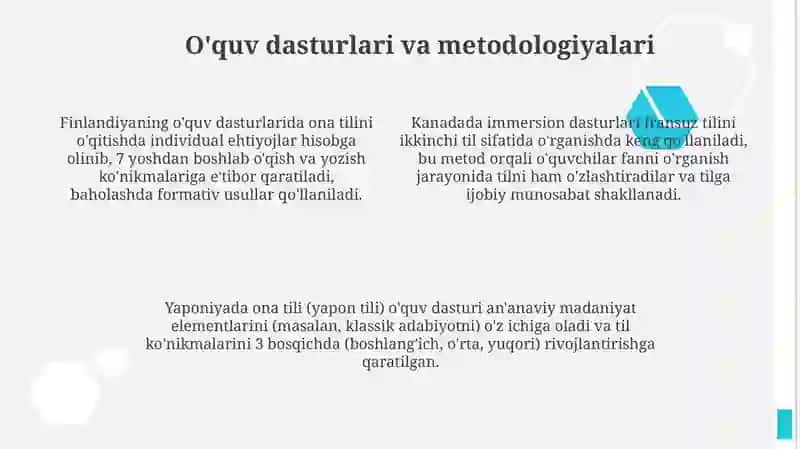 Ona tili ta'limida rivojlangan xorijiy davlatlar tajribasi 4