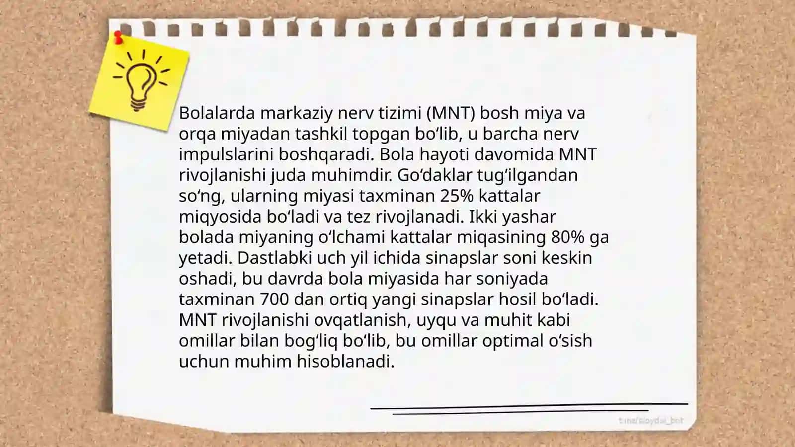 Nerv tizimining yoshga oid umumiy fiziologiyasi va gigiyenasi 4