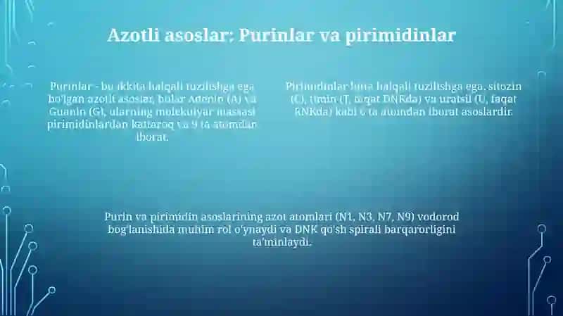 Nukleotidlarning tuzilishi va funksiyasi 4