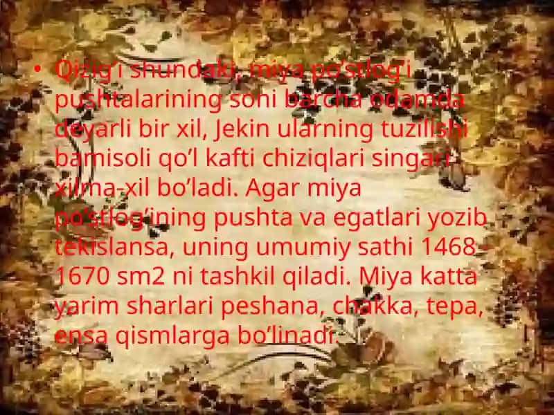 Boshmiya 4