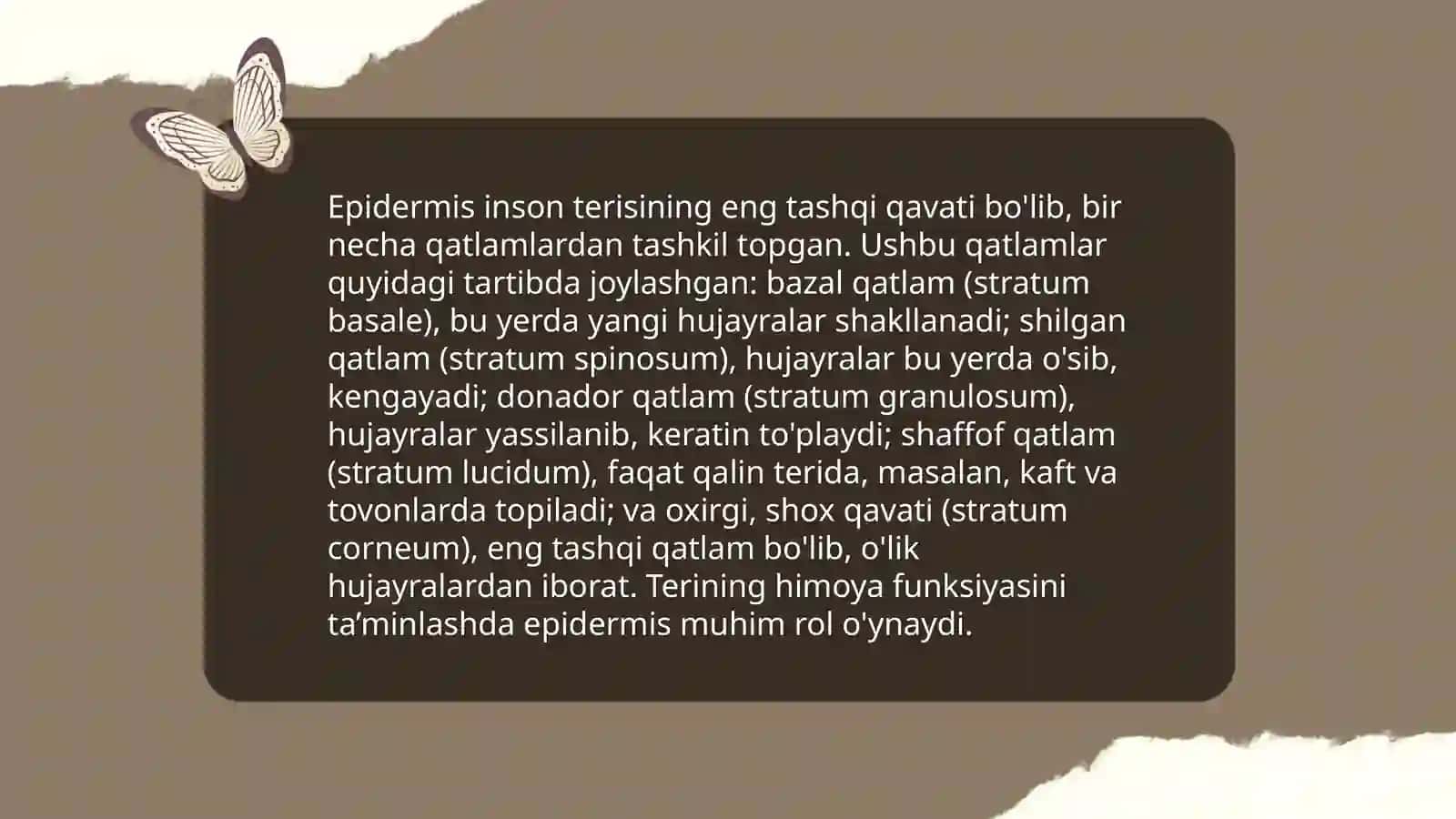 Teri va soch tuzilishi. Epidermis va derma qavatlar 4