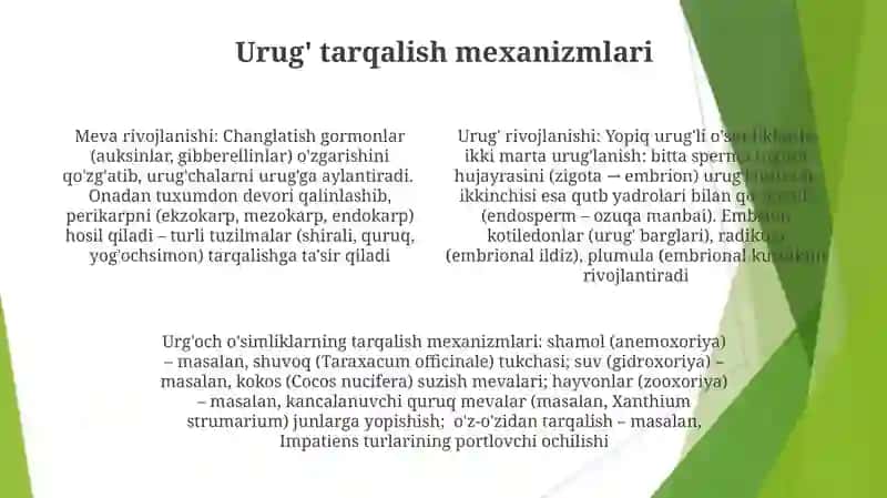 Urugʻ va meva urugʻning rivojlanishi 4