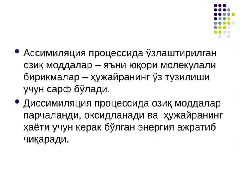 Микроорганизмлар физиологияси 4