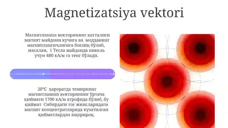 Magnitlanish, kutblanish va ularning vektorlari 4