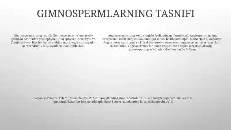 Ochiq UrugʻLi OʻSimliklarning Kelib Chiqishi 4