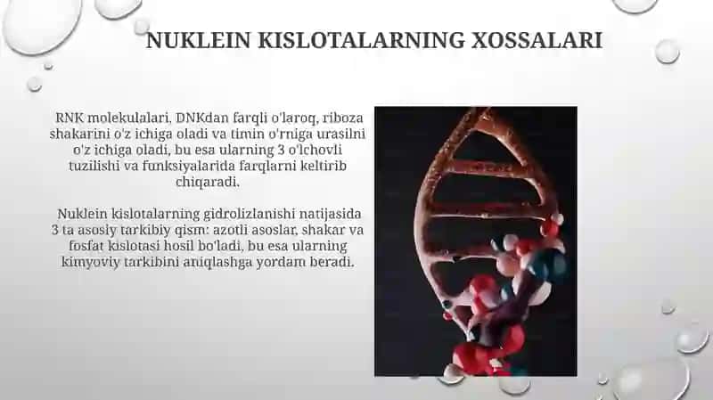 Nuklein kislotalar va ularning kimyoviy tarkibi 4