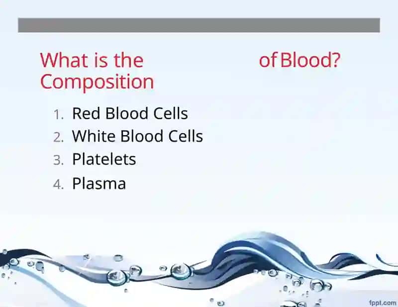 What is Blood? 4