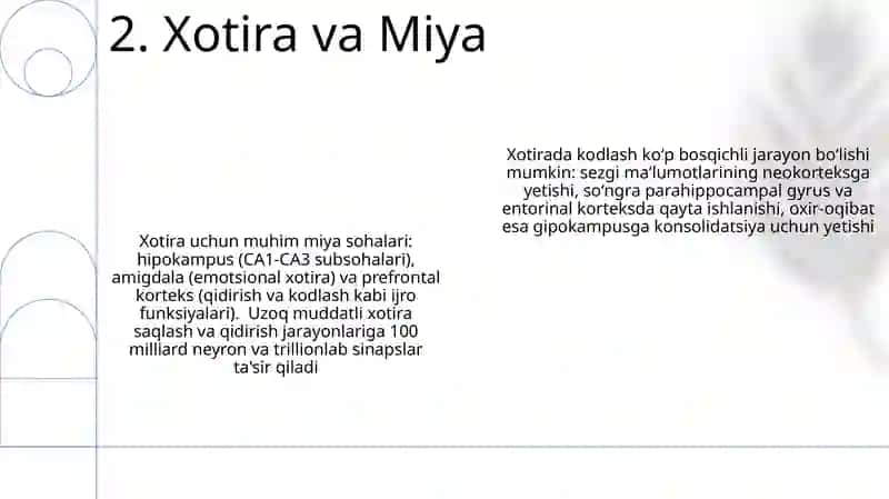 Xotira xaqida umumiy tasavvurlar 4