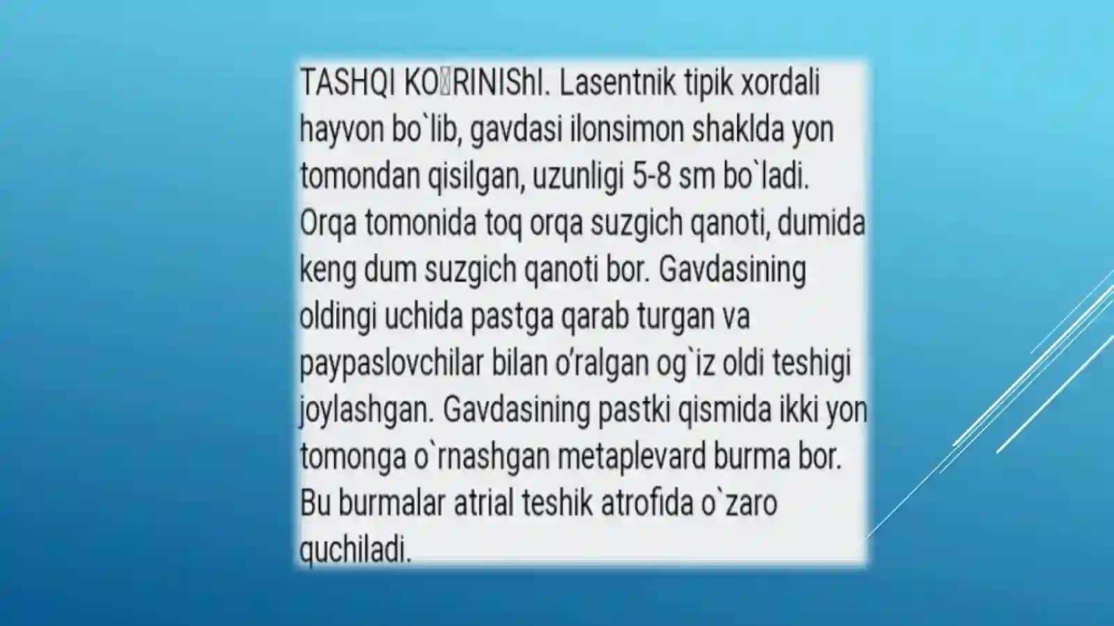 Boshskeletsizlarkenjatipi.lansetnikninghayotkechirishi 4