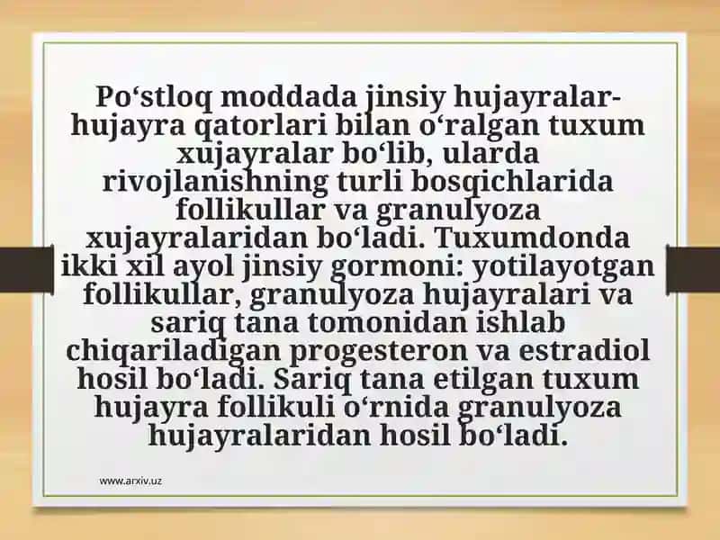 Erkak va ayol jinsiy bezlari 4
