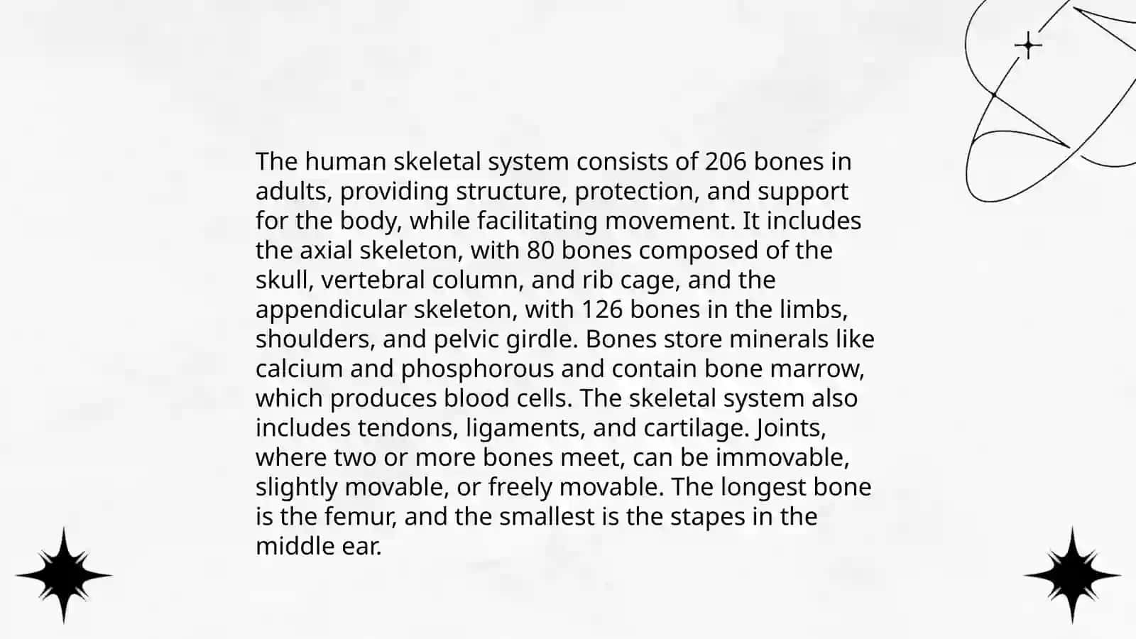 the skeleton 4