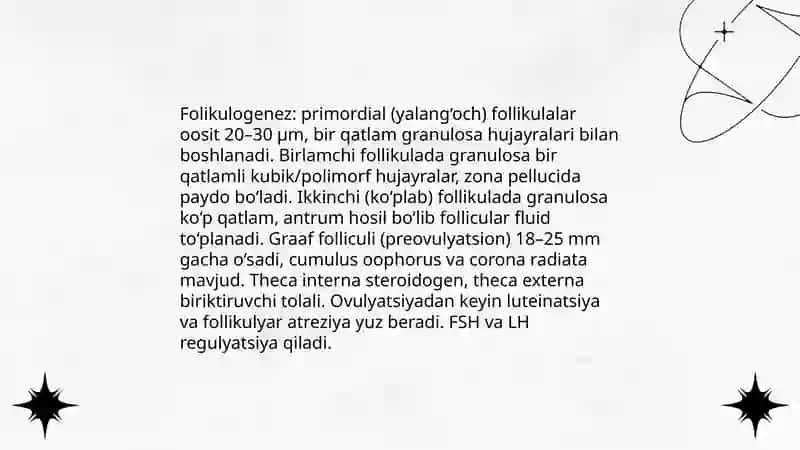 Ayollar reproduktiv sistemasi gistologiyasi 4