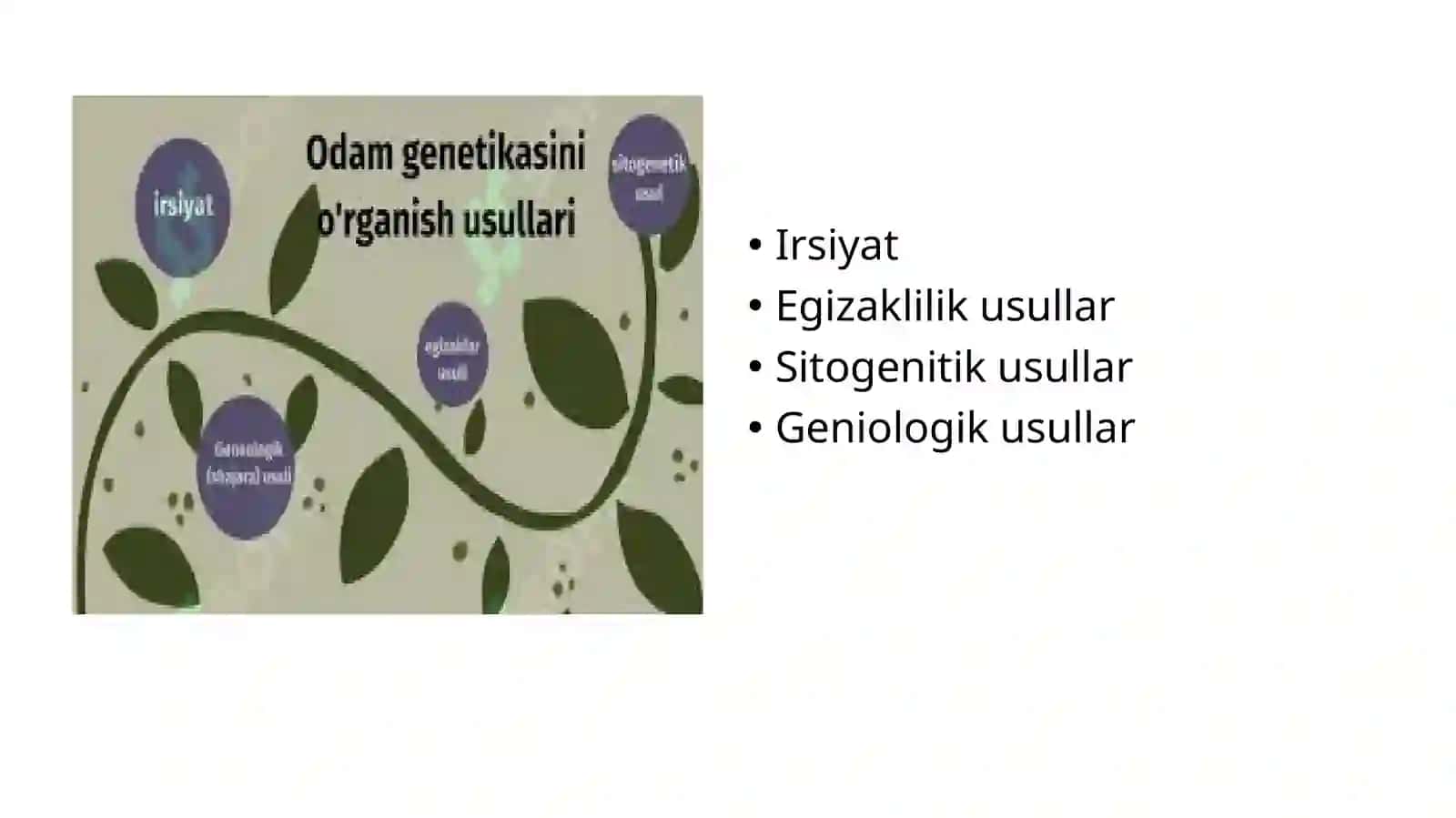 ODAM GENETIKASI METODLARI: GENEOLOGIK VA EGIZAKLAR METODI 4
