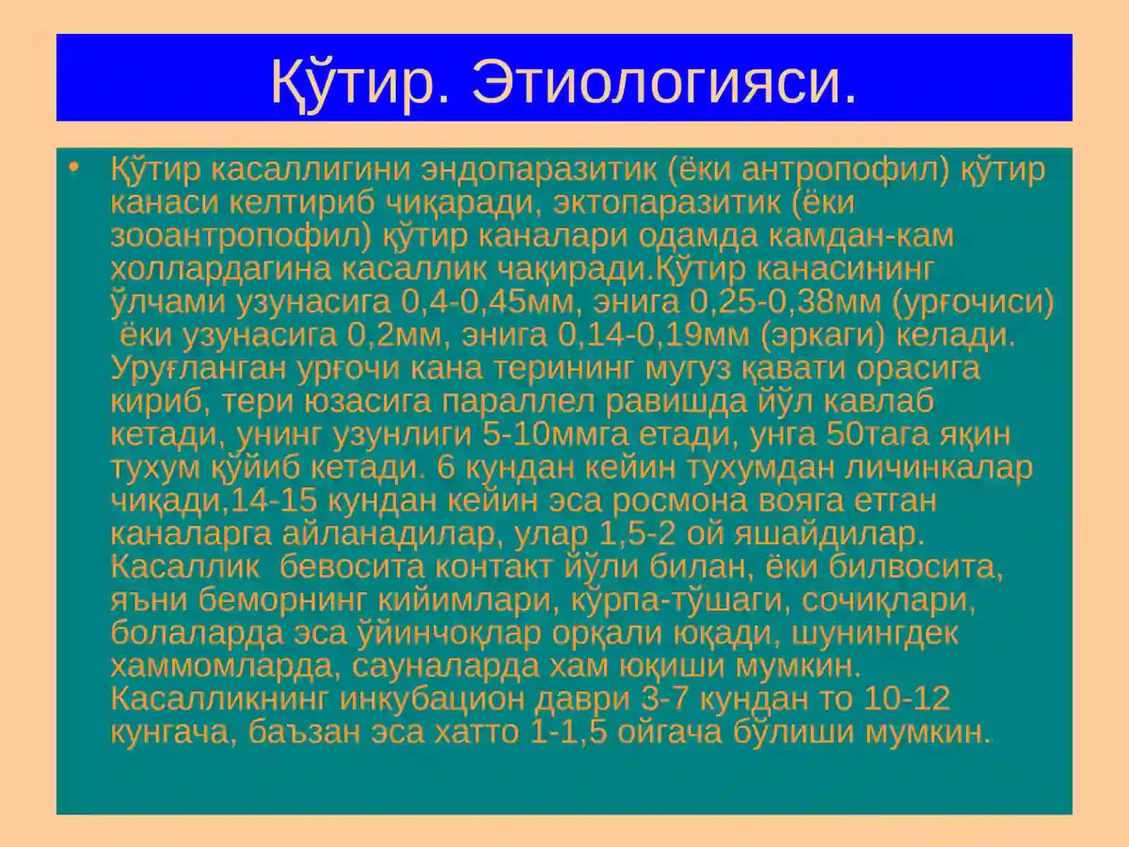 Терининг тузилиши, морфологик элементлари 4