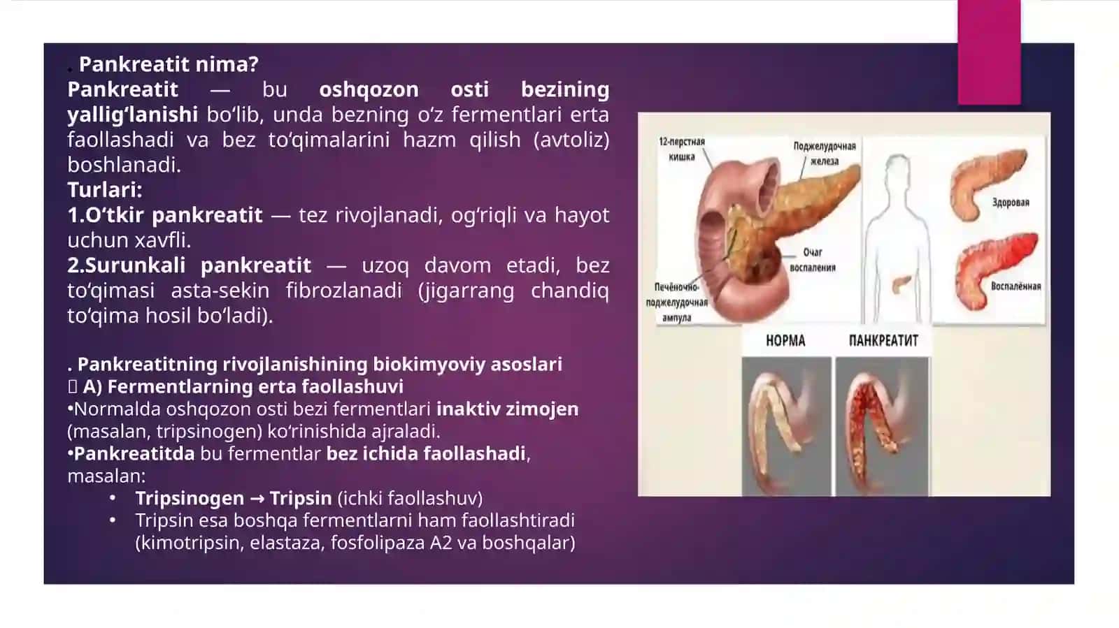 Pankreatit rivojlanishining biokimyoviy asoslari, davolash va diagnostika tamoyillari, ingichka ichakda parchalanish mahsulotlari so'rilishining buzilishi (seliakiya), kron kasalligi va yarali kolit rivojlanishining biokimyoviy asoslari 4