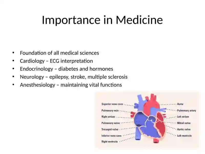 Development, Medical Importance, Regulation, Integrity, and Bioelectrical Phenomena 4