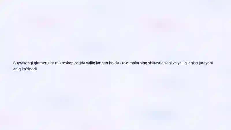 Glomerulonefritlarning Urologik Jihatlari 4