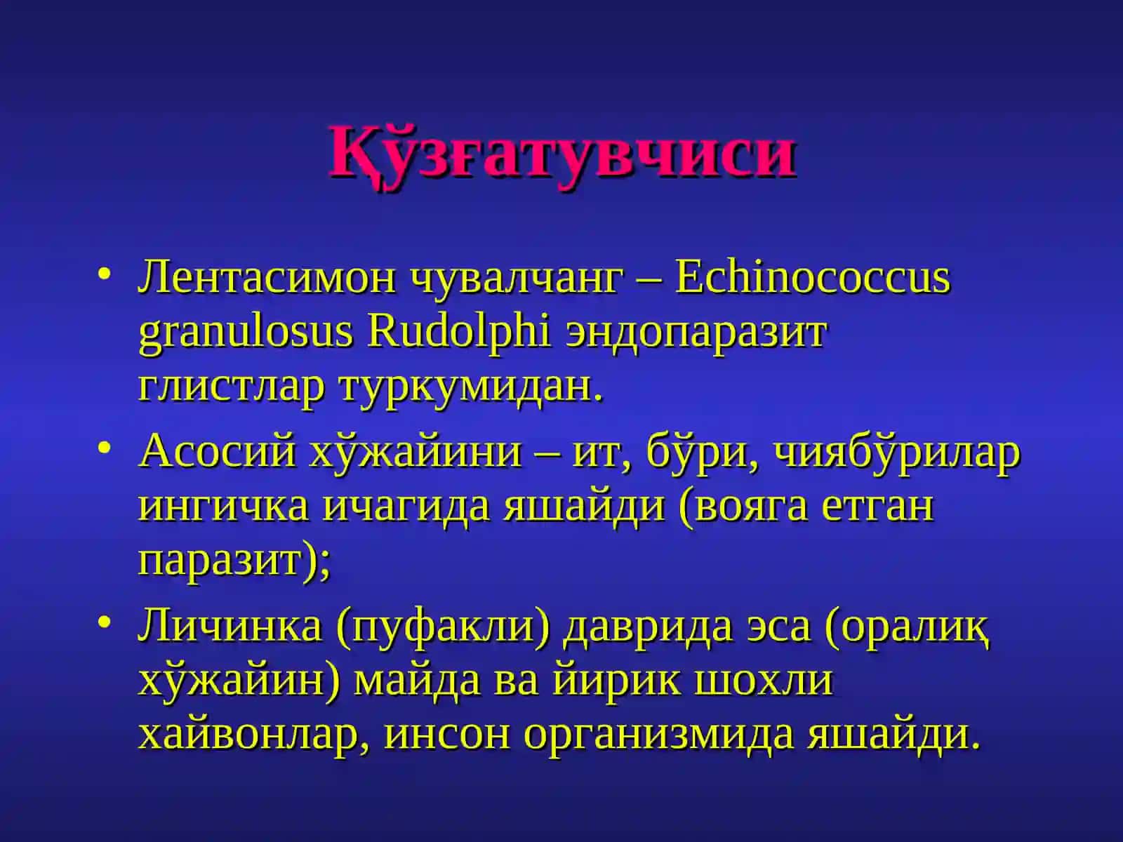 Эхинококкоз. Жигар ваўпка эхинококкози, инвазияси,клиник манзараси,диагностикаси, даволаш усуллари 4