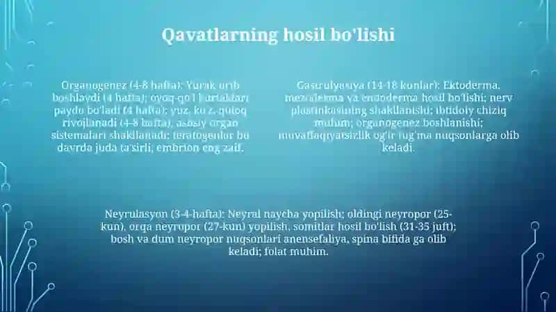 Odam embriologiyasi qaltis davrlari 4