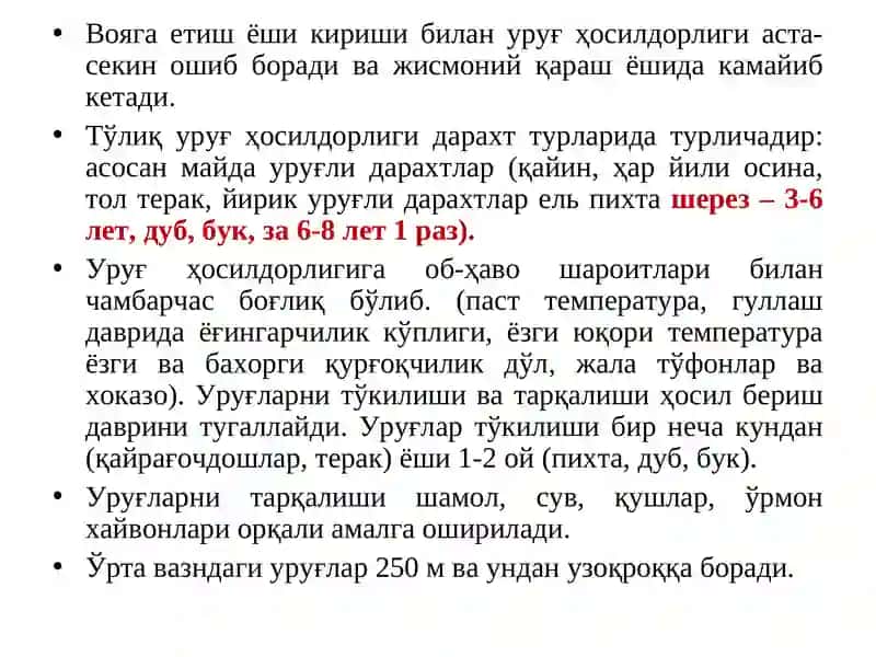 Ўрмонни қайта тикланиши ва унга кўмаклашувчи тадбирлар 4
