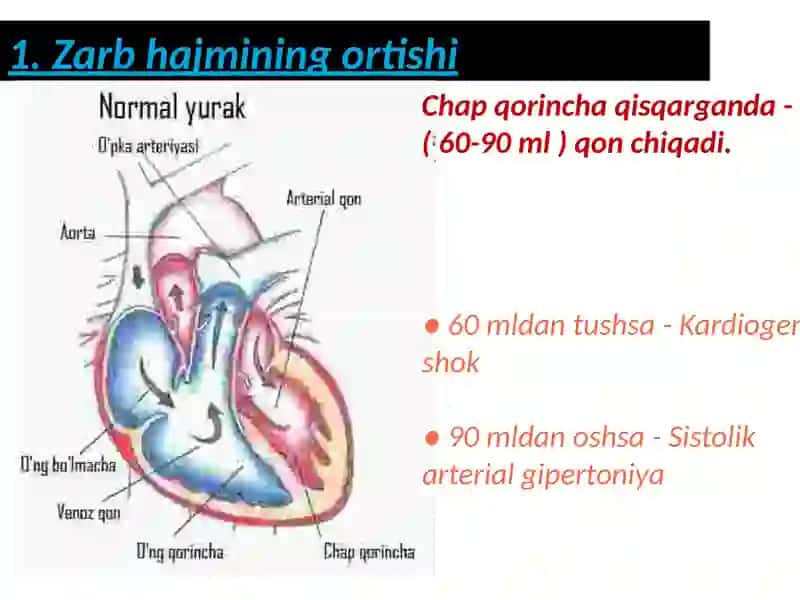 ArterialGipertenziya 4