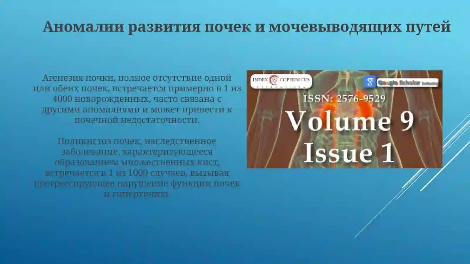 Лечебное дело 2 4