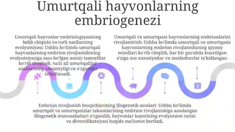 Umurtqali Va Umurtqasiz Hayvonlar Rivojlanishi Misolida,Embriogenez Xilma Xilligining Filogenetik Asoslari 4